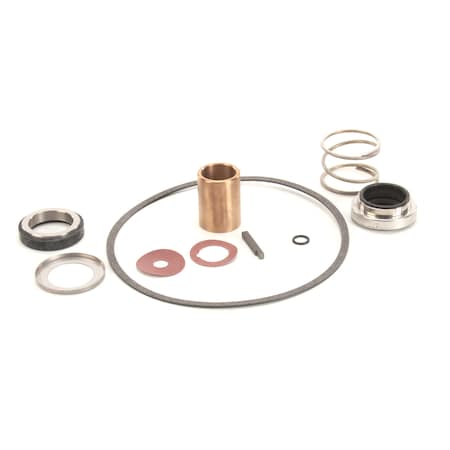Power Soak Systems Pump Seal Kit - Burks ( I ) 22462